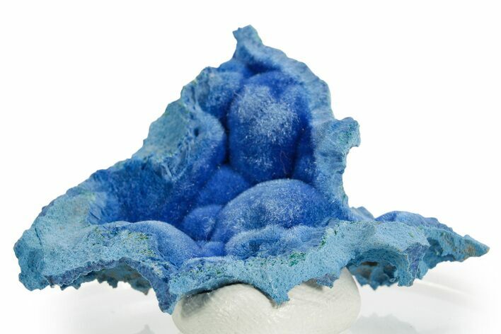 Vivid Blue Botryoidal Shattuckite Formation - Namibia #363775